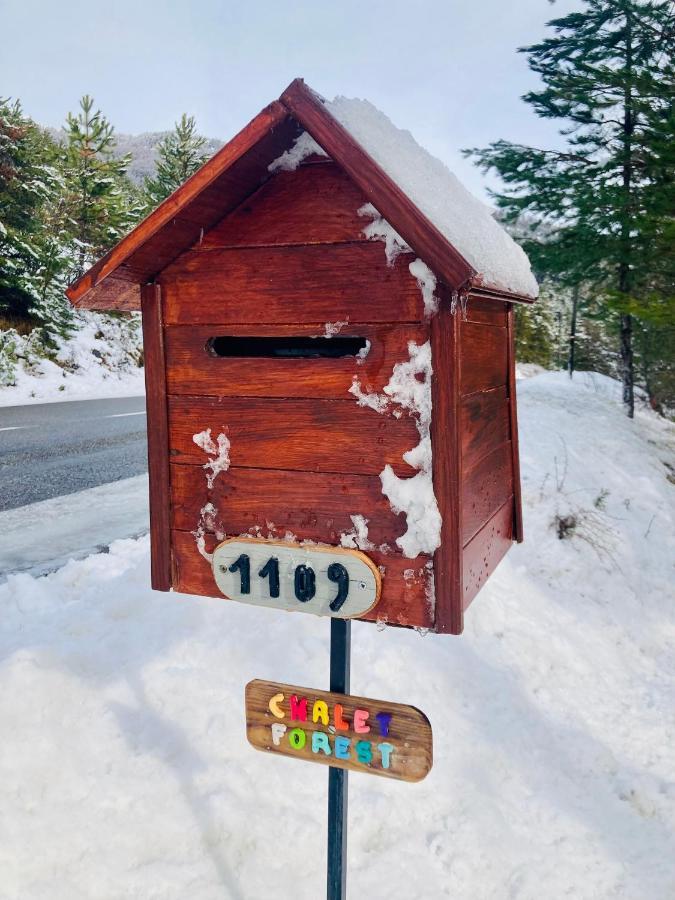 Chalet Forest Saint-Apollinaire  Exterior foto